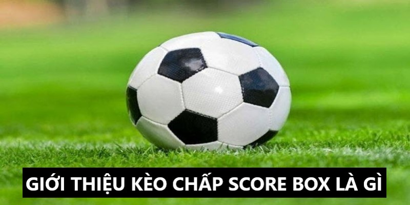 Kèo chấp score box là gì và những thông tin giới thiệu 