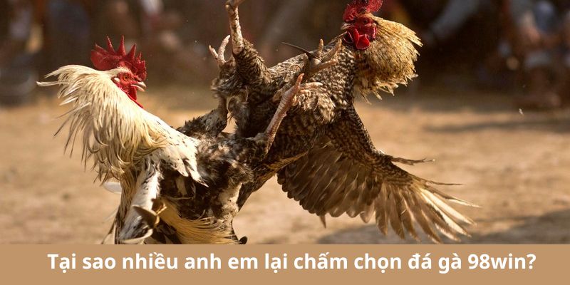 Ưu điểm nổi bật khiến anh em mê mẩn sân chơi cá cược