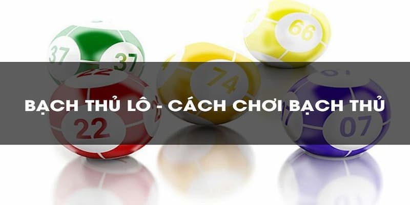 Các phương pháp chơi bạch thủ lô hiệu quả nhất từ chuyên gia